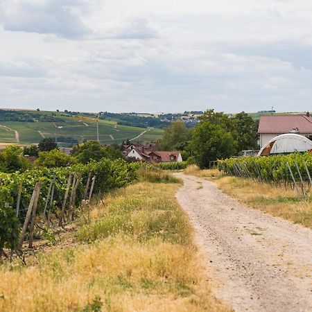 Appartment In Den Weinbergen Bei Mainz - Mit 2X Doppelzimmern, 1X Grosses Wohnzimmer, Bad & Kueche Stadecken-Elsheim Экстерьер фото